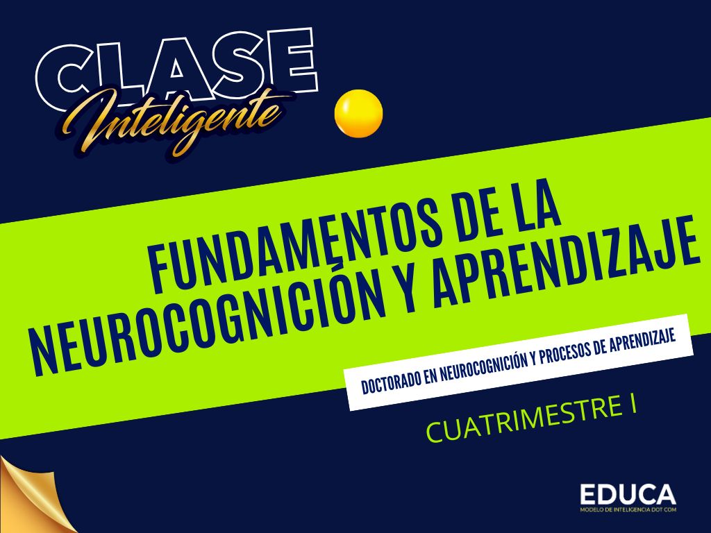 Fundamentos de la Neurocognición y Aprendizaje DNPA 101